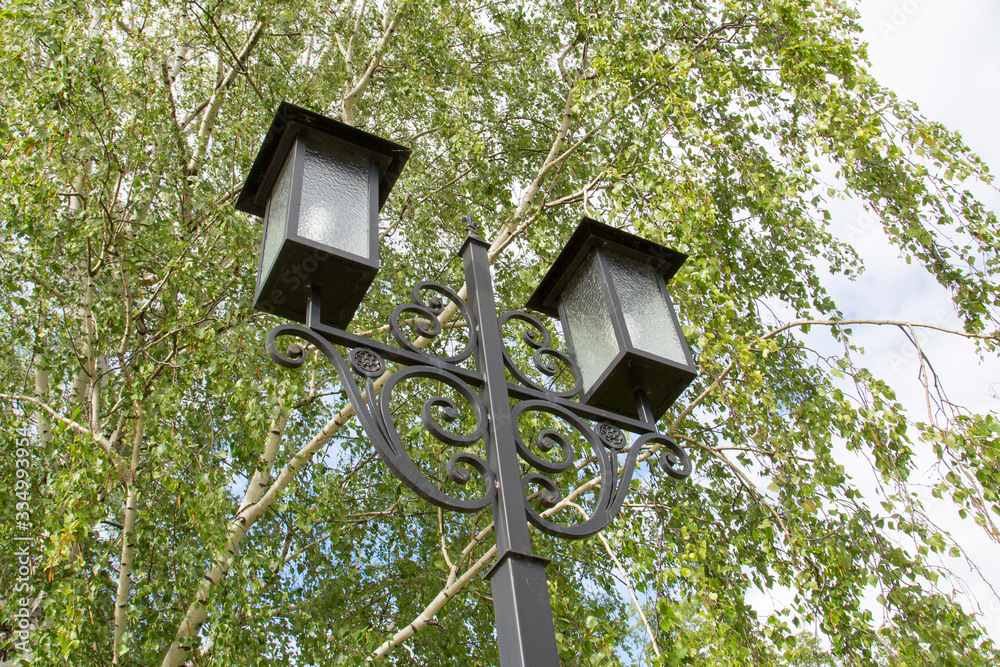 electric lantern on a pole against the foliage of trees electric lantern on a pole against the foliage of trees