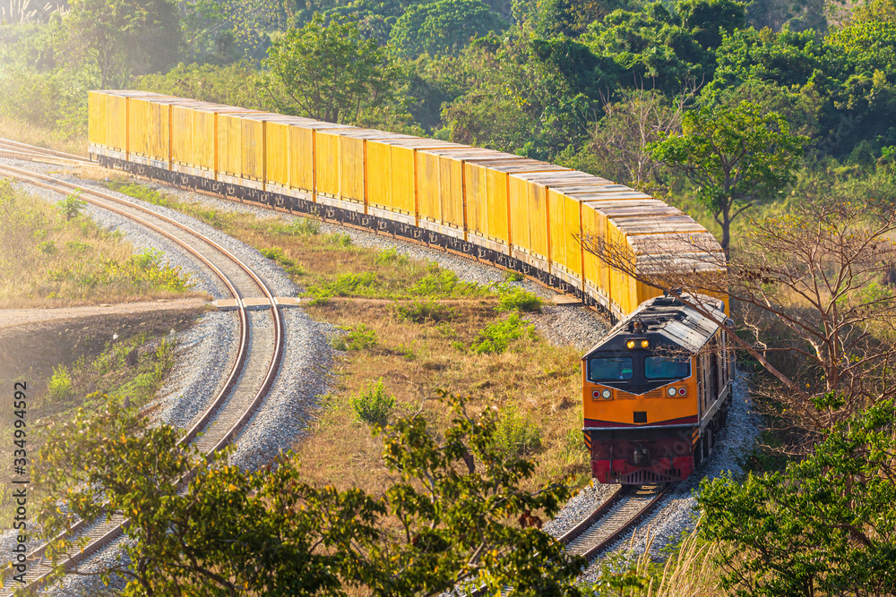 Transportation of cargoes by rail in containers.