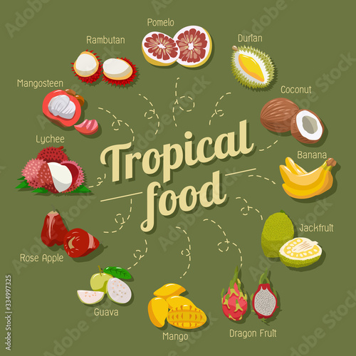 Tropical fruit food vector set collection graphic design