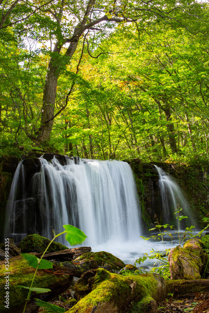 Obraz premium waterfall