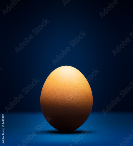 Egg on a classic blue background close-up with dramatic lighting. Fine art.