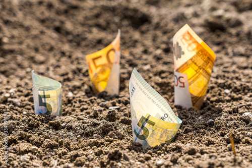 Euro Noten Geld in Erde Garten gepflanzt wachsen auf