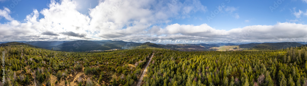 Panorama Of The Black Forest On A Cold, Sunny January Day