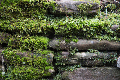 Texture of an old stone wall covered with green moss. Stones and moss. Greeting card