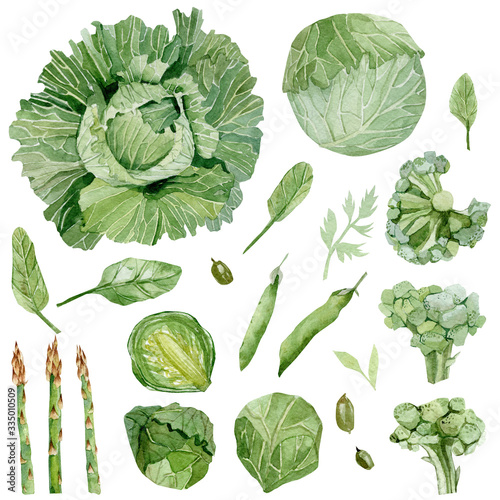 Watercolor greenery vegeterian healthy food. Hand painted vegetable peas, spinach, cabbage, pumpkin seeds, broccoli, asparagus, parsley, Eco food for design menu, veggie blog, eco print t-shirt.