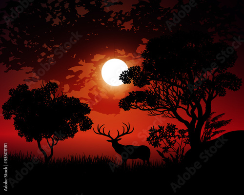 silhouette of a deer in forest at night