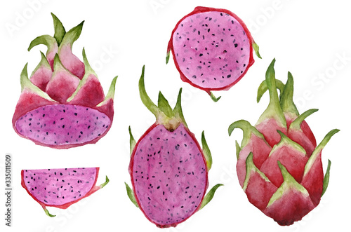 Fototapeta Naklejka Na Ścianę i Meble -  hand drawn watercolor illustration of pitaya pitahaya or dragon fruit, exotic tropical sweet delicious food with pink pulp cut in halves healthy organic superfood for labels textile fabric cafe menu