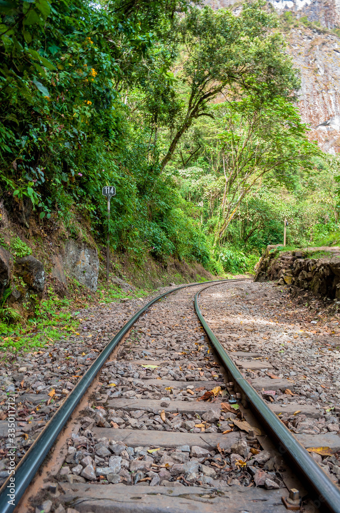 Fototapeta premium vias de tren selva