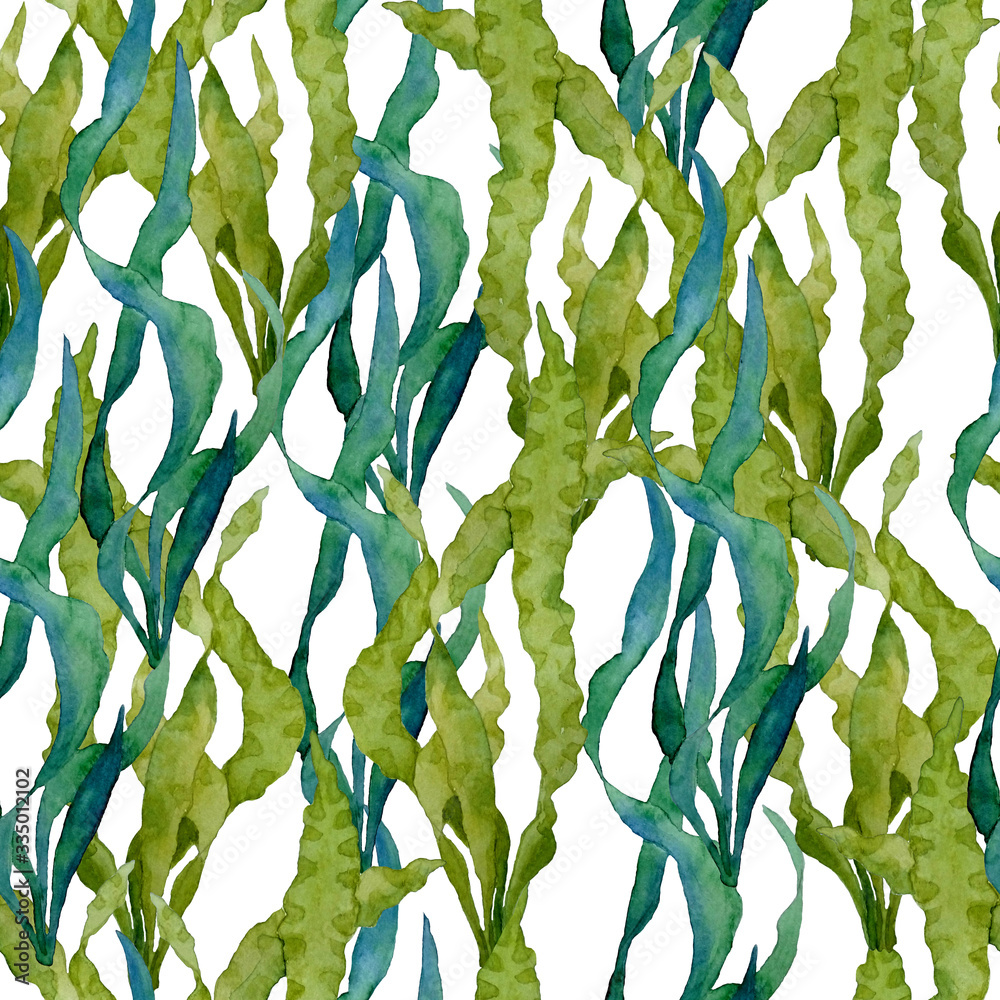 watercolor hand drawn seamless pattern with green water plant seaweed ...