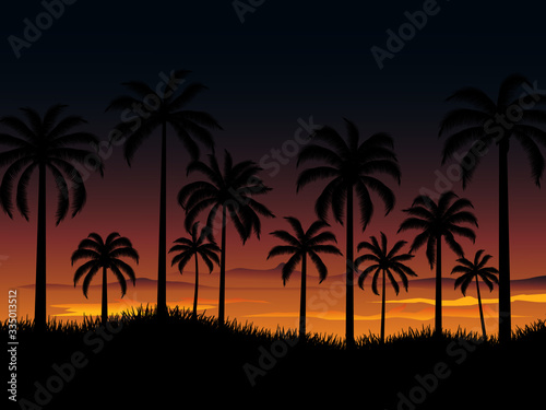 palm trees at dusk