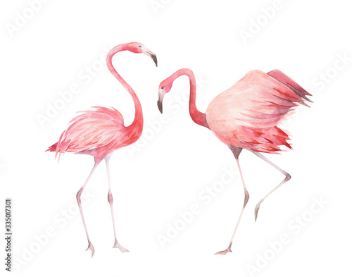 Watercolor flamingos set. Hand drawn  birds isolated on white background.