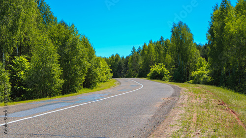 highway in the forest on a sunny day