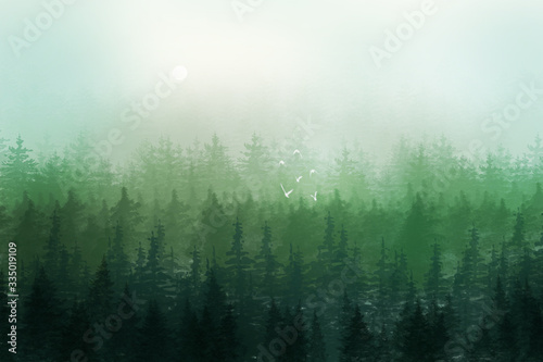 Beautiful illustration of foggy coniferous forest on a sunny day. Horizontal forest landscape with green colors.