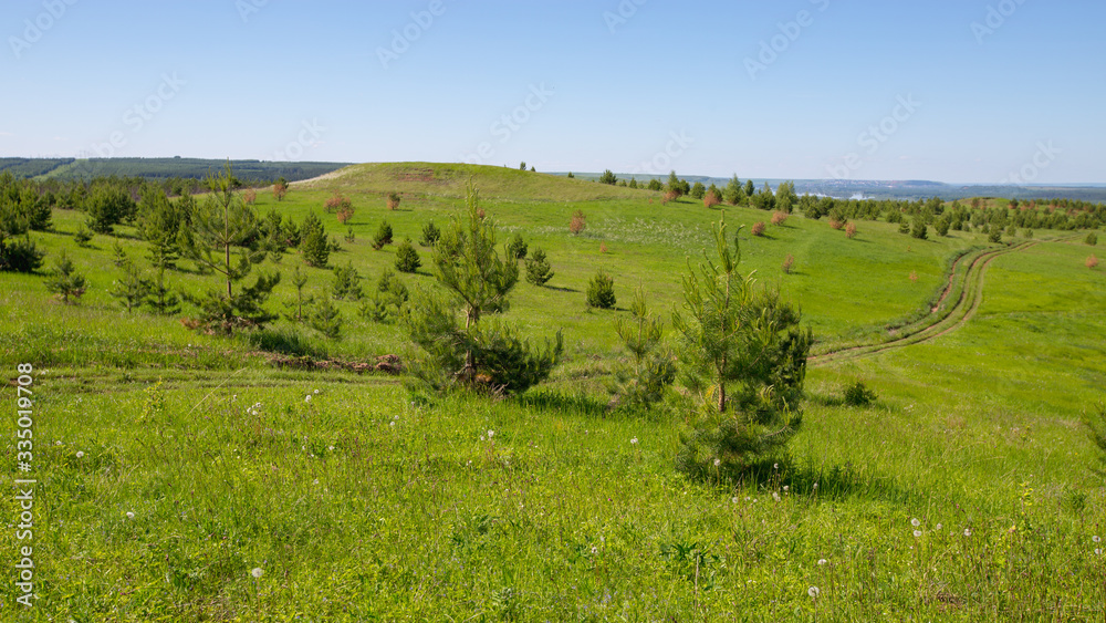 country road on hills overgrown with grass and sparse small trees