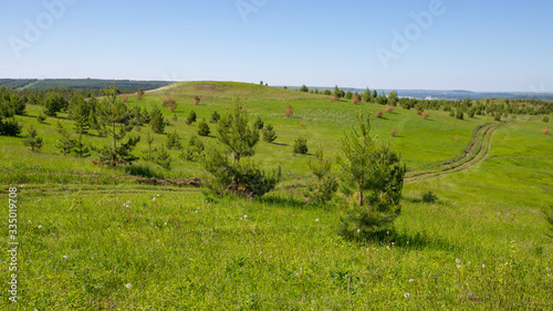 country road on hills overgrown with grass and sparse small trees © Андрей Пугачев