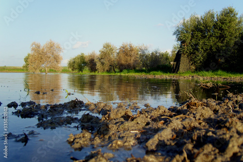 Photographic hide on the shore of a lagoon to photograph water birds during the spring in the Andalusian countryside.