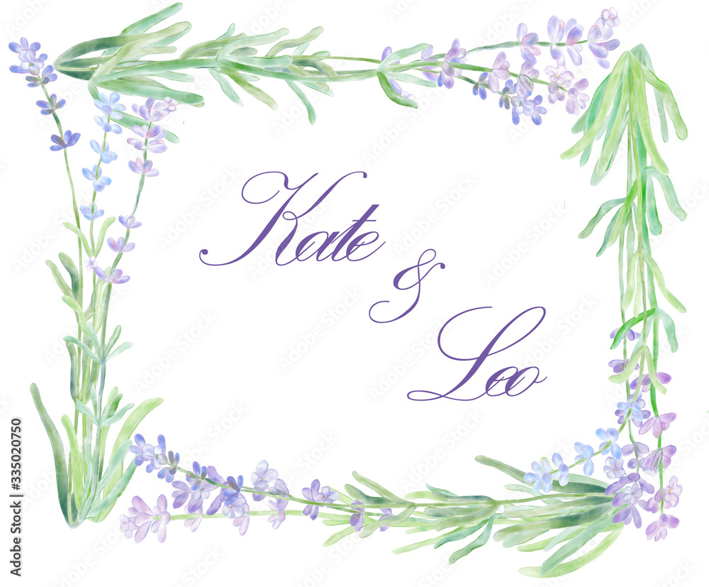 Lavender flowers frame on white isolated background. Can be used for wedding and other invitations and covers. Hand painted. Digital watercolor illustration..