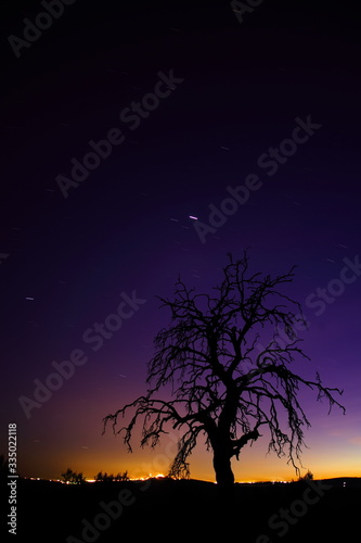 Night landscape with tree and star trails on a hill and illuminated town in the background.