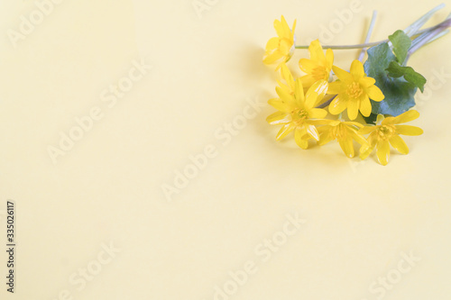 Yellow flowers in an egg shell on a yellow background. Copy space