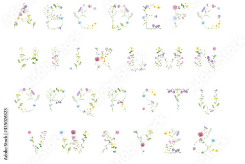 Watercolor hand drawn wild meadow flower letter alphabet (bluebell, clover, chamomile, chicory, yarrow,  tansy etc.) isolated on white background. Design element for summer design, wedding invitation.