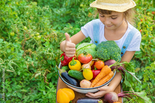 Child in the garden with vegetables in his hands. Selective focus. photo