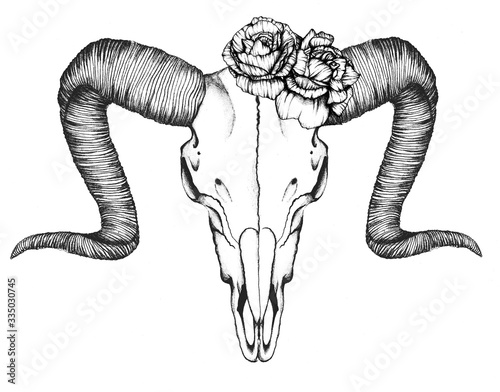 A Black & White Realistic Floral Boho Rams Skull Fine-liner Illustration