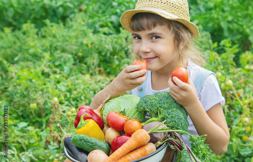 Child in the garden with vegetables in his hands. Selective focus. photo