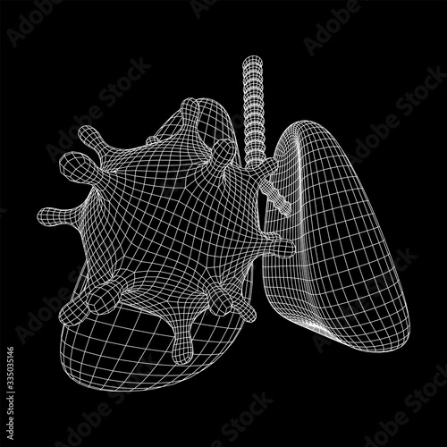 Corona Virus and Lungs with trachea bronchi internal organ human. Covid virus pulmonology medicine science concept. Wireframe low poly mesh vector illustration.