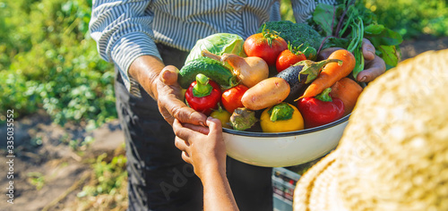 Child and grandmother in the garden with vegetables in their hands. Selective focus. photo