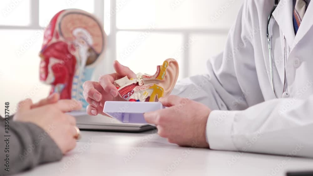 A medical professional doctor wearing a white lab coat and a stethoscope is explaining to his patient the function of the ear canal while holding a human ear anatomy model