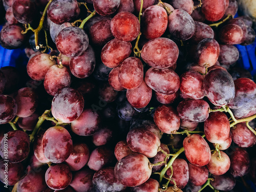 Quadro em tela Bunches of large grapes with a blue box.