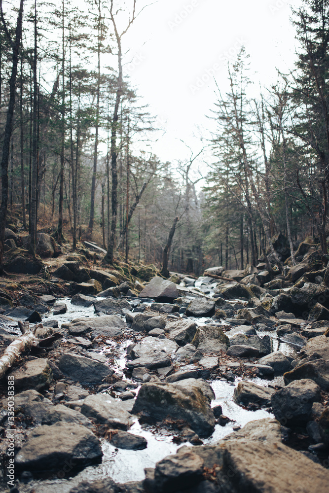 small river with large stones on the background of the autumn forest small river with large stones on the background of the autumn forest