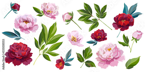 pink and red peonies