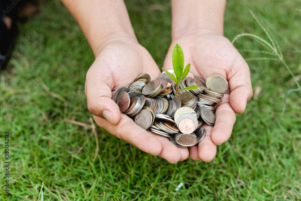 Hands holding many coin with baby plant on top. Hands holding many coin with baby plant on top.