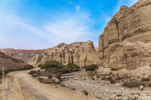 Coast of the healing Dead Sea