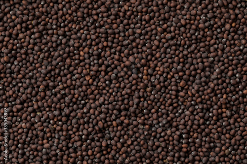 Black mustard seed close up full frame