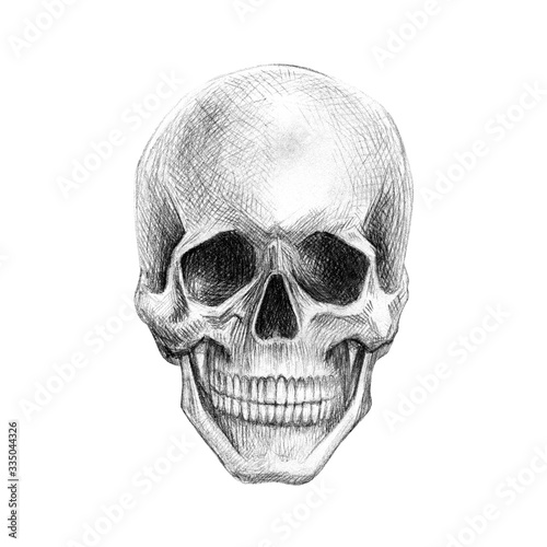 Drawing by hand with a simple pencil. Human skull