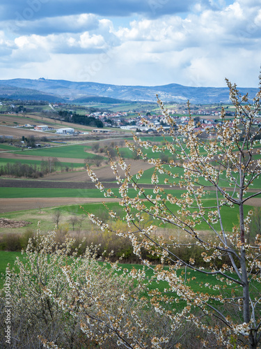 View to Rosaliengebirge in Burgenland photo