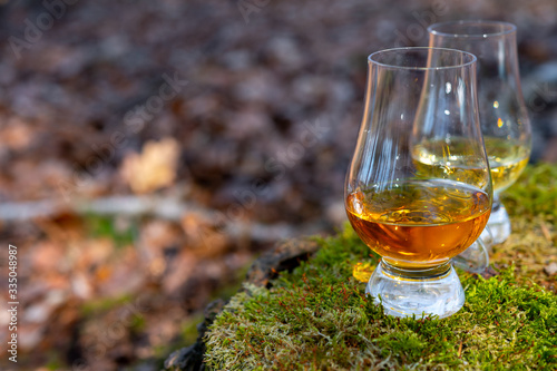 Obraz na płótnie Tasting of scotch single malt whisky from Islay island, most intensely flavoured