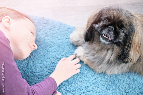teenage girl playing with pekingese dog. happy dog looking at camera. pet adoption and pet care concept. 
