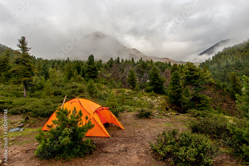 An orange tent stands in the mountains behind a young spruce. A lot of conifers. Dense fog and clouds around. Horizontal.