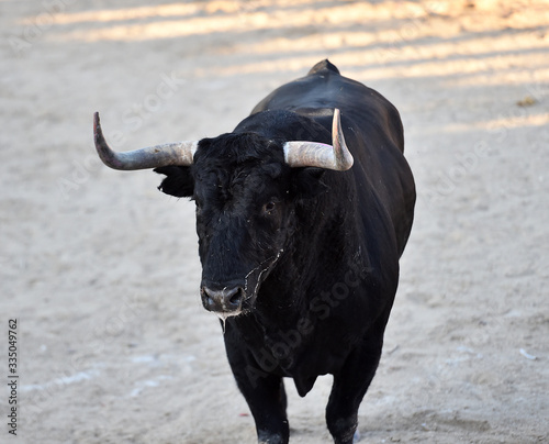 toro español