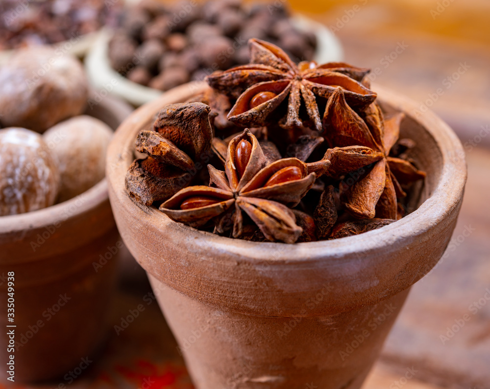 Indian spices collection, dried aromatic star anise and another spices in clay bowls Indian spices collection, dried aromatic star anise and another spices in clay bowls