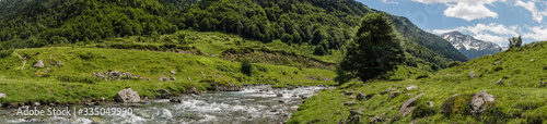 Panoramic of a mountain valley with snowy peaks in the background and a sky with dark clouds that shade, the grass is intense green with yellow flowers. There are many trees and a river . © Jose