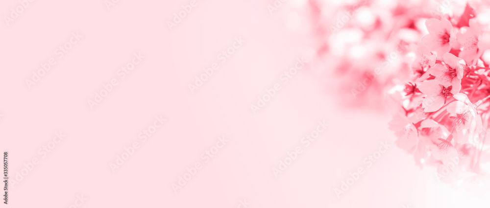Spring border abstract blured background art with pink sakura or cherry blossom. Spring border abstract blured background art with pink sakura or cherry blossom.