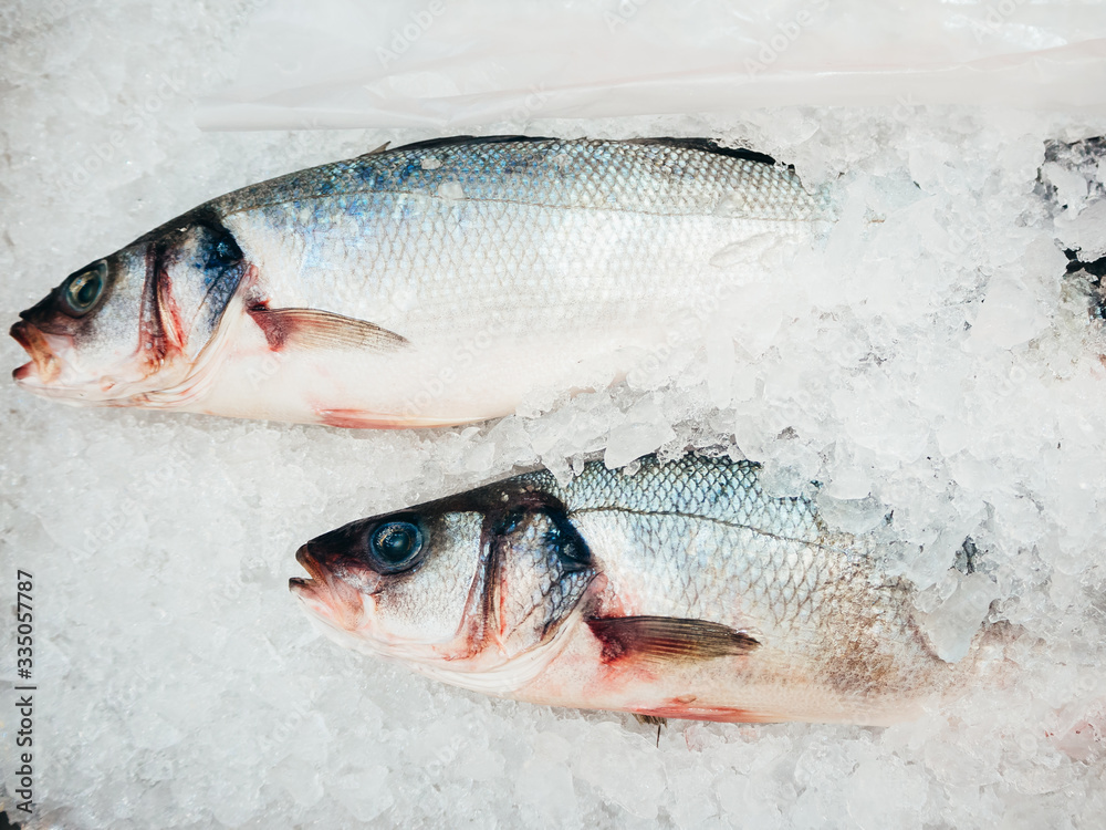 Fresh salmon fish lies in ice. Fresh salmon fish lies in ice.