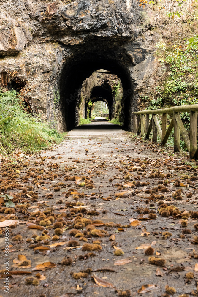 Tunnel in the Bear trekking way in autumn. Teverga, Asturias, Spain.