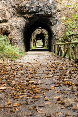 Fototapeta Naklejka Na Ścianę i Meble -  Tunnel in the Bear trekking way in autumn. Teverga, Asturias, Spain.
