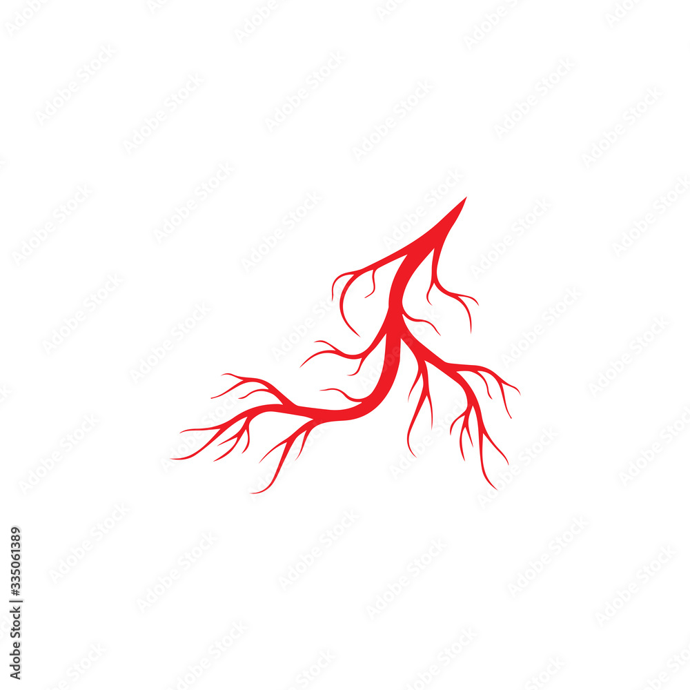 human veins, red blood vessels design and arteries Vector illustration isolated human veins, red blood vessels design and arteries Vector illustration isolated