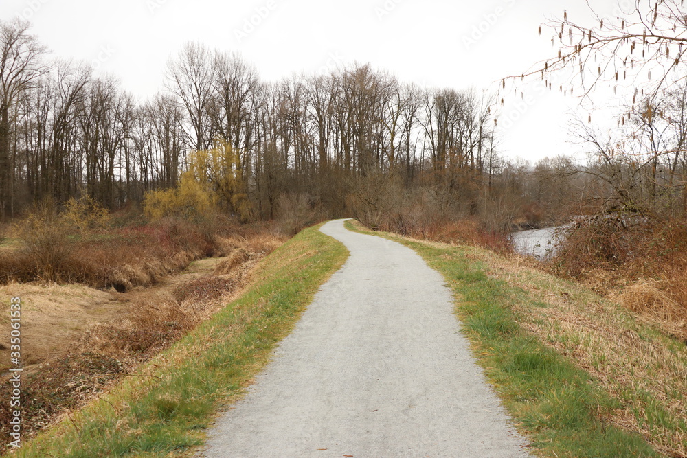 Obraz premium Long walking path through the trees